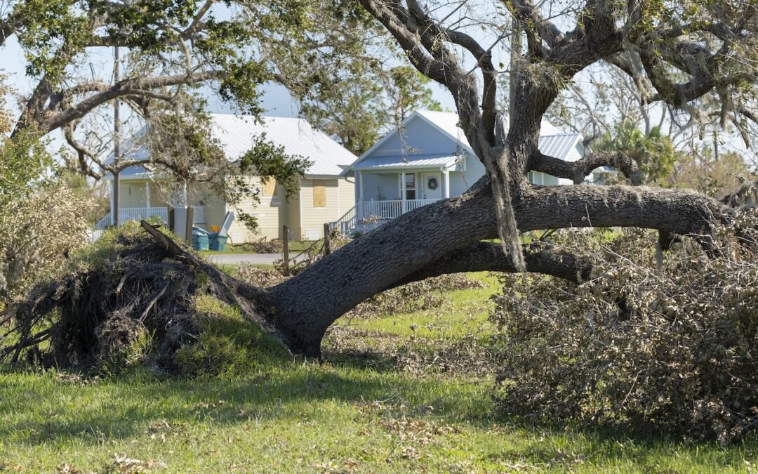 Your Guide to Preparing for a Storm